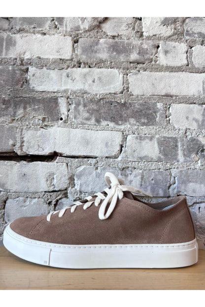 Loria Suede Low Sneaker - Taupe - DUNE + SALT