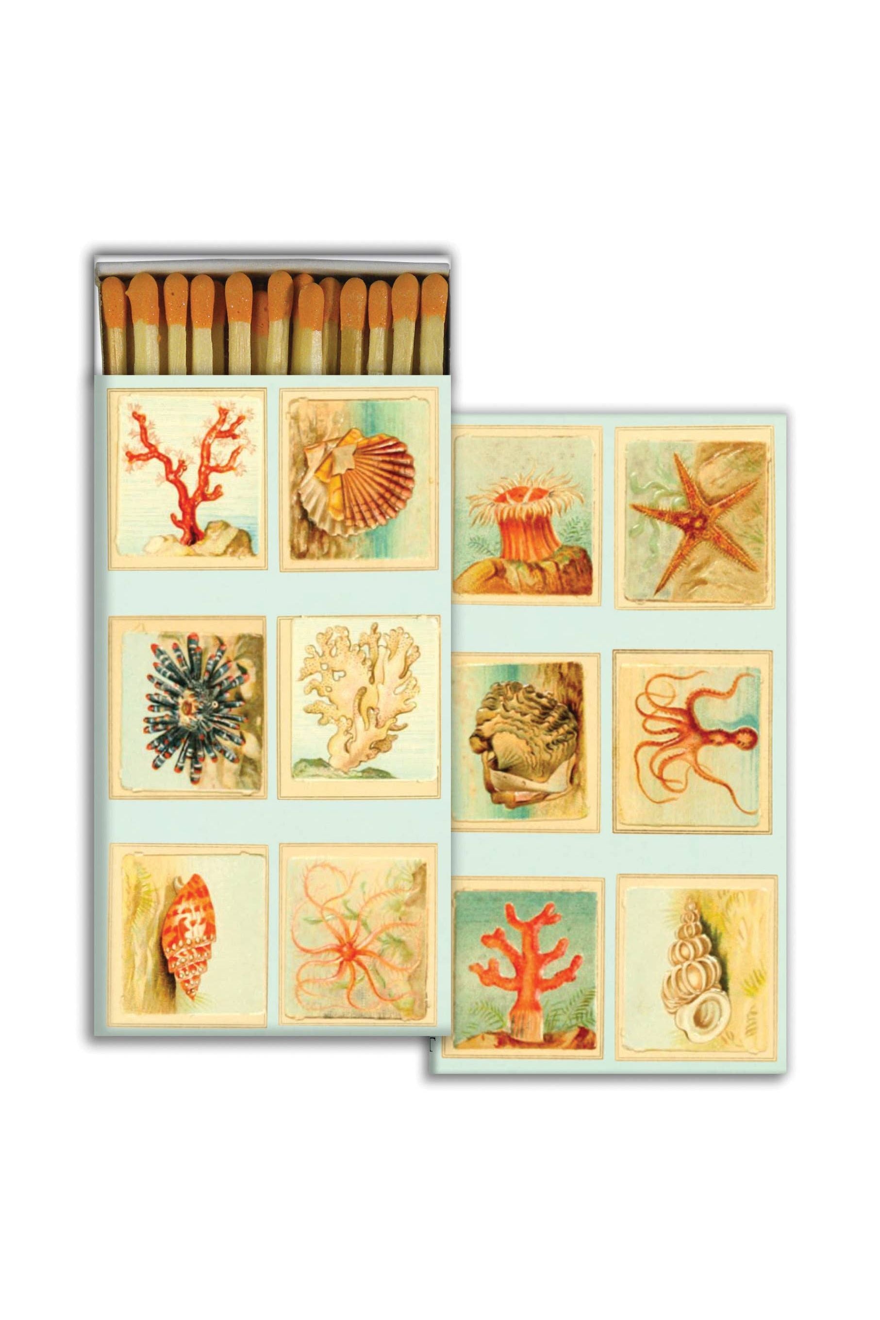 Mollusks + Coral + Seastars Matches - DUNE + SALT