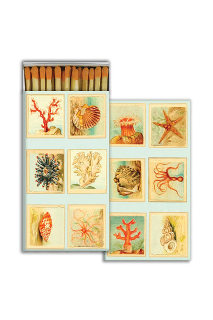 Mollusks + Coral + Seastars Matches - DUNE + SALT