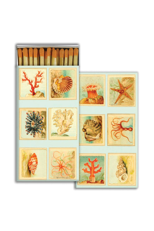 Mollusks + Coral + Seastars Matches - DUNE + SALT