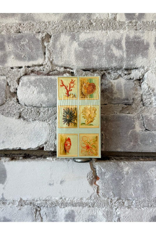 Mollusks + Coral + Seastars Matches