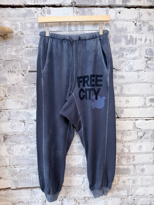 FREECITYLARGE SUNFADES Pocket Sweatpant - moonshrooms