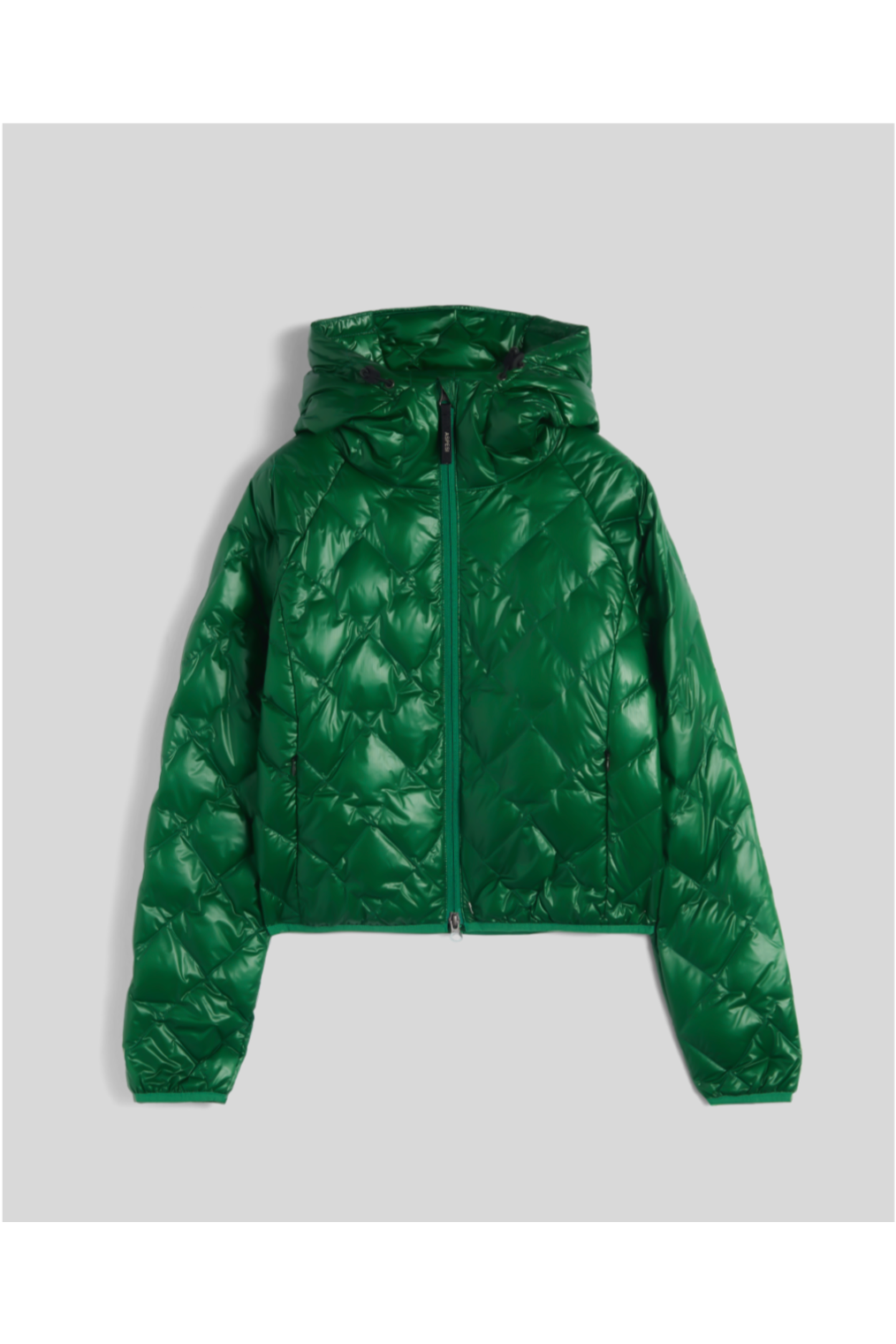 Ginger Nylon Ripstop Jacket - Verde - DUNE + SALT