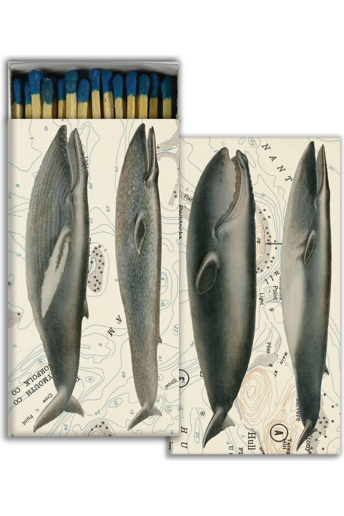 Whales Matches - DUNE + SALT