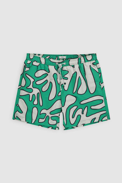 Swim Shorts with Print - Botanic Green - DUNE + SALT