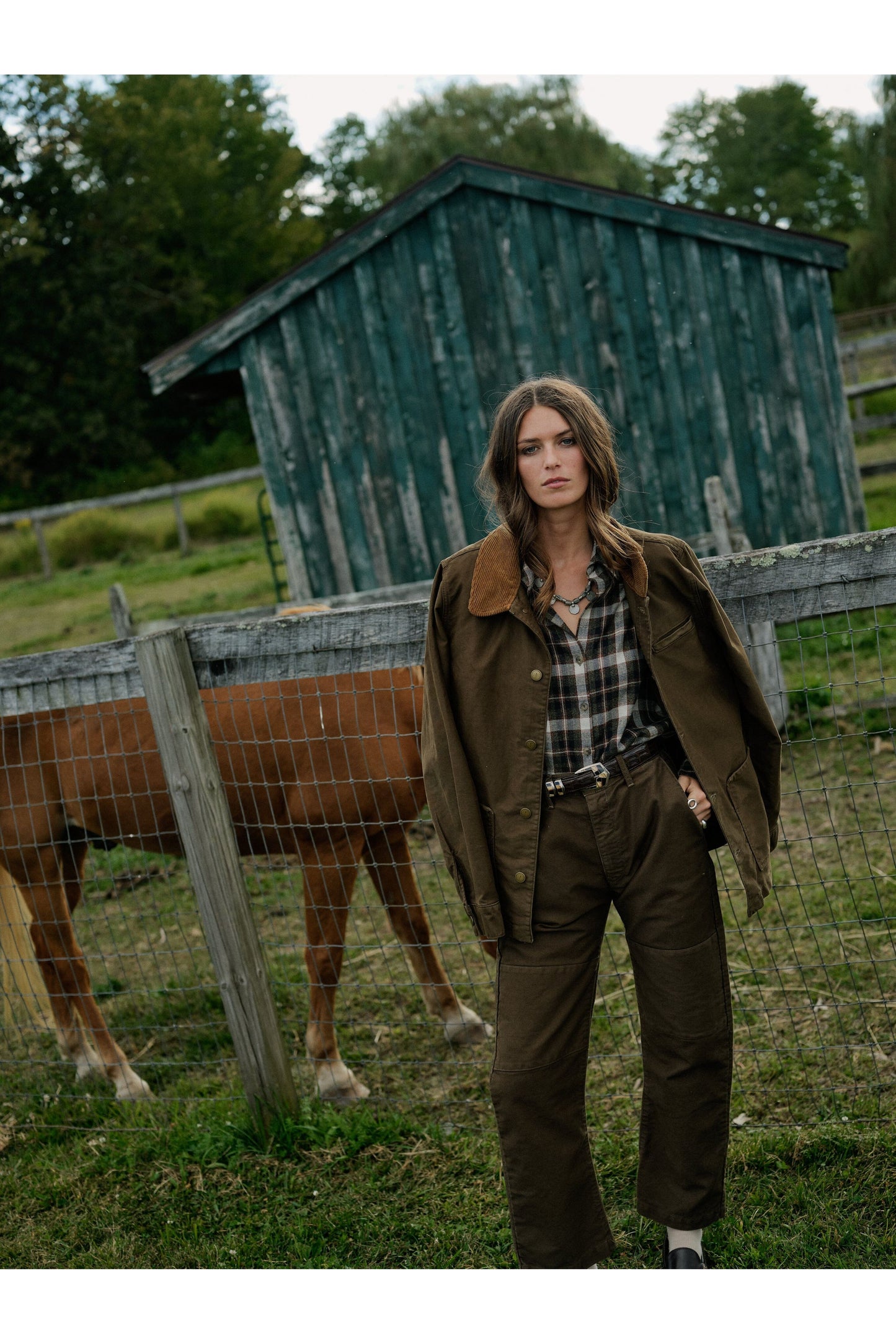 Baja Japanese Moleskin Pant - Moss - DUNE + SALT