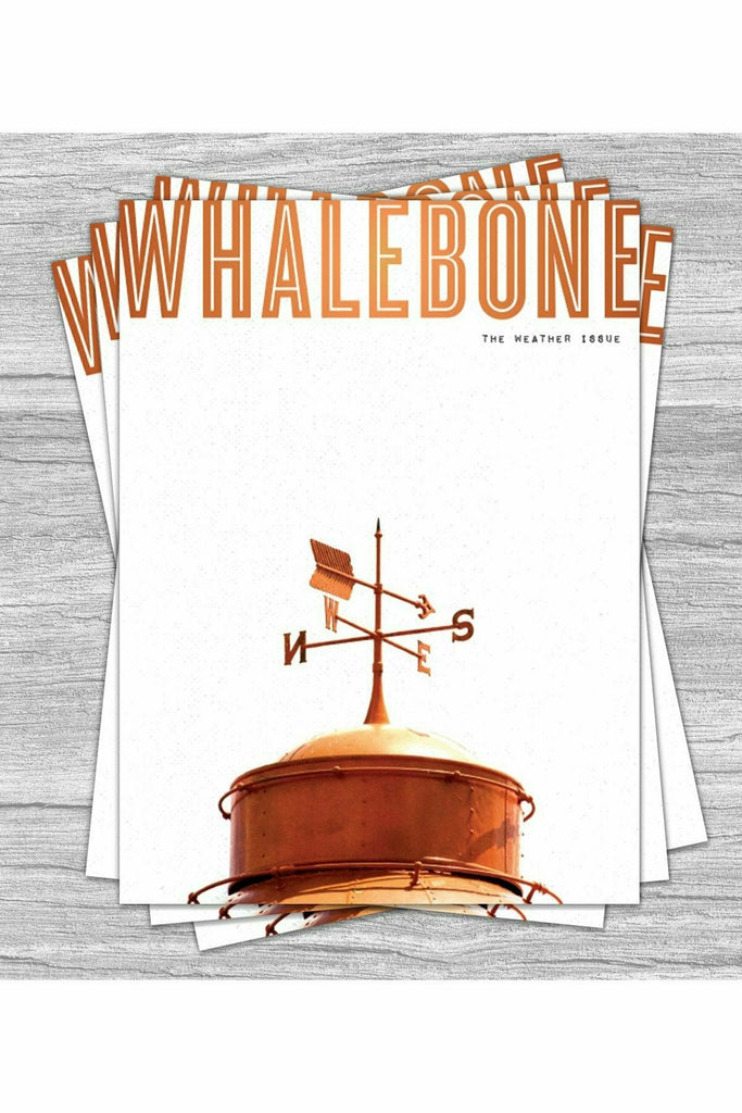 Whalebone Whalebone Magazine Snow