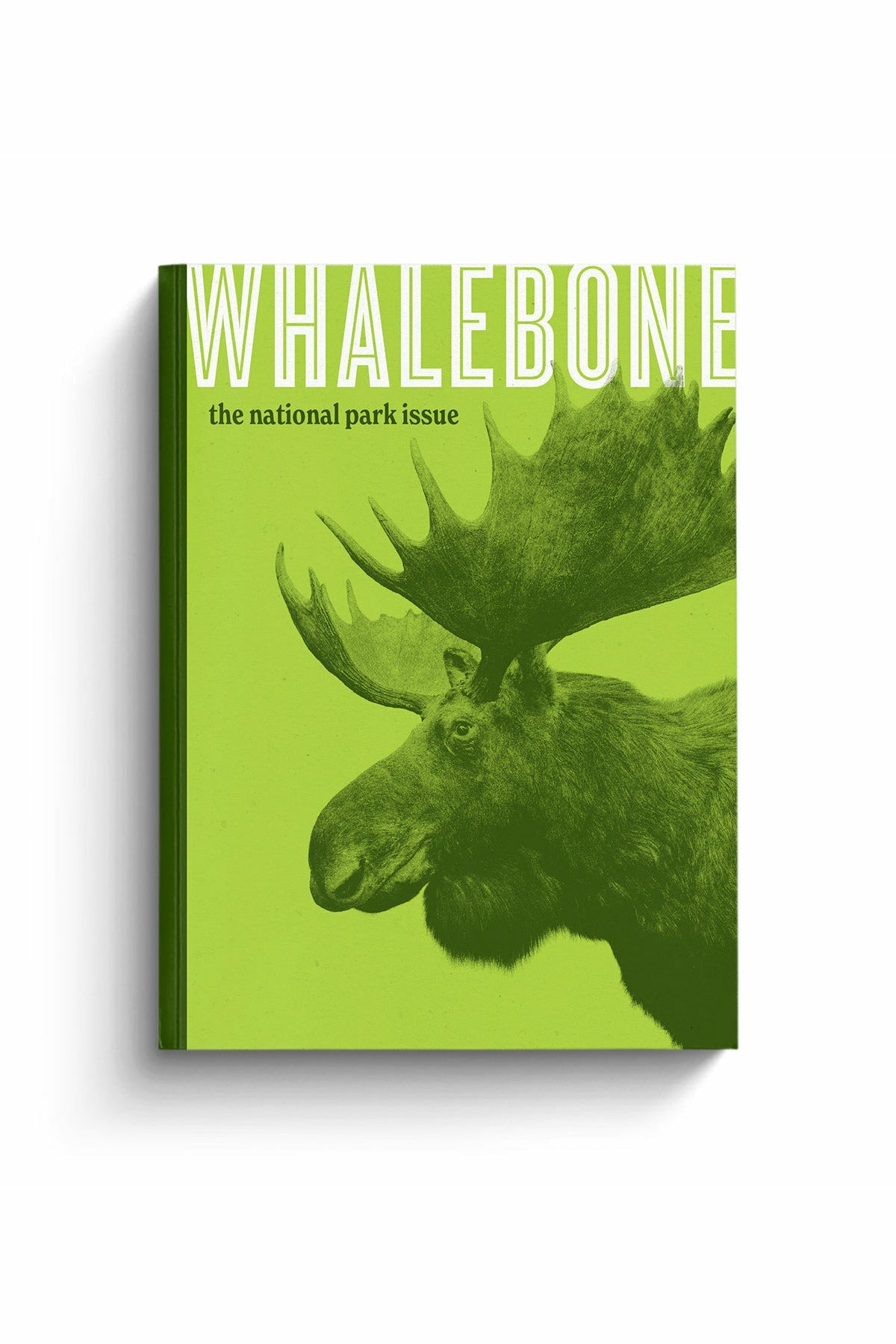 Whalebone Magazine - DUNE + SALT